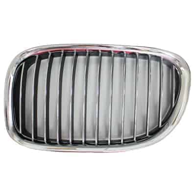 BM1200198 Grille Main